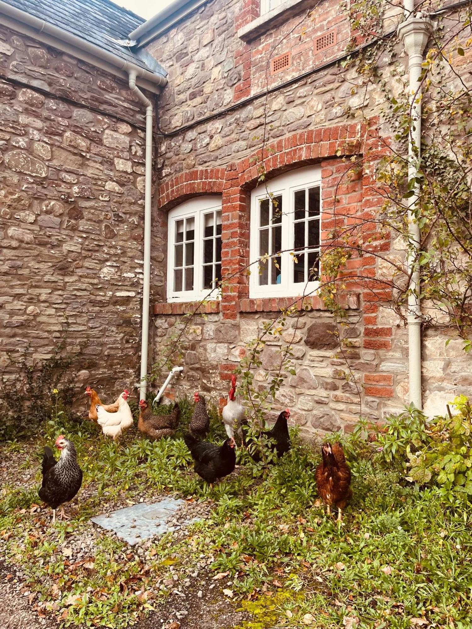 The Cottage 애버게이브니 외부 사진