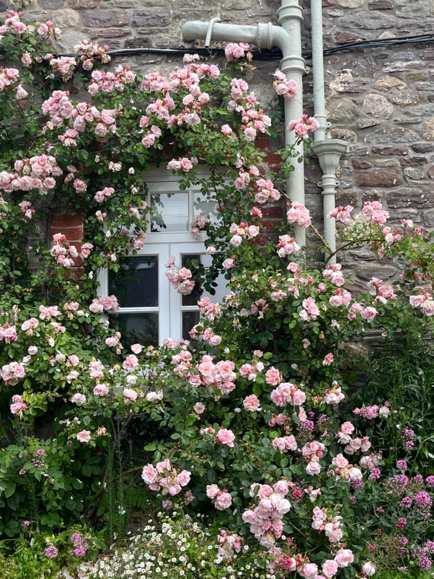 The Cottage 애버게이브니 외부 사진
